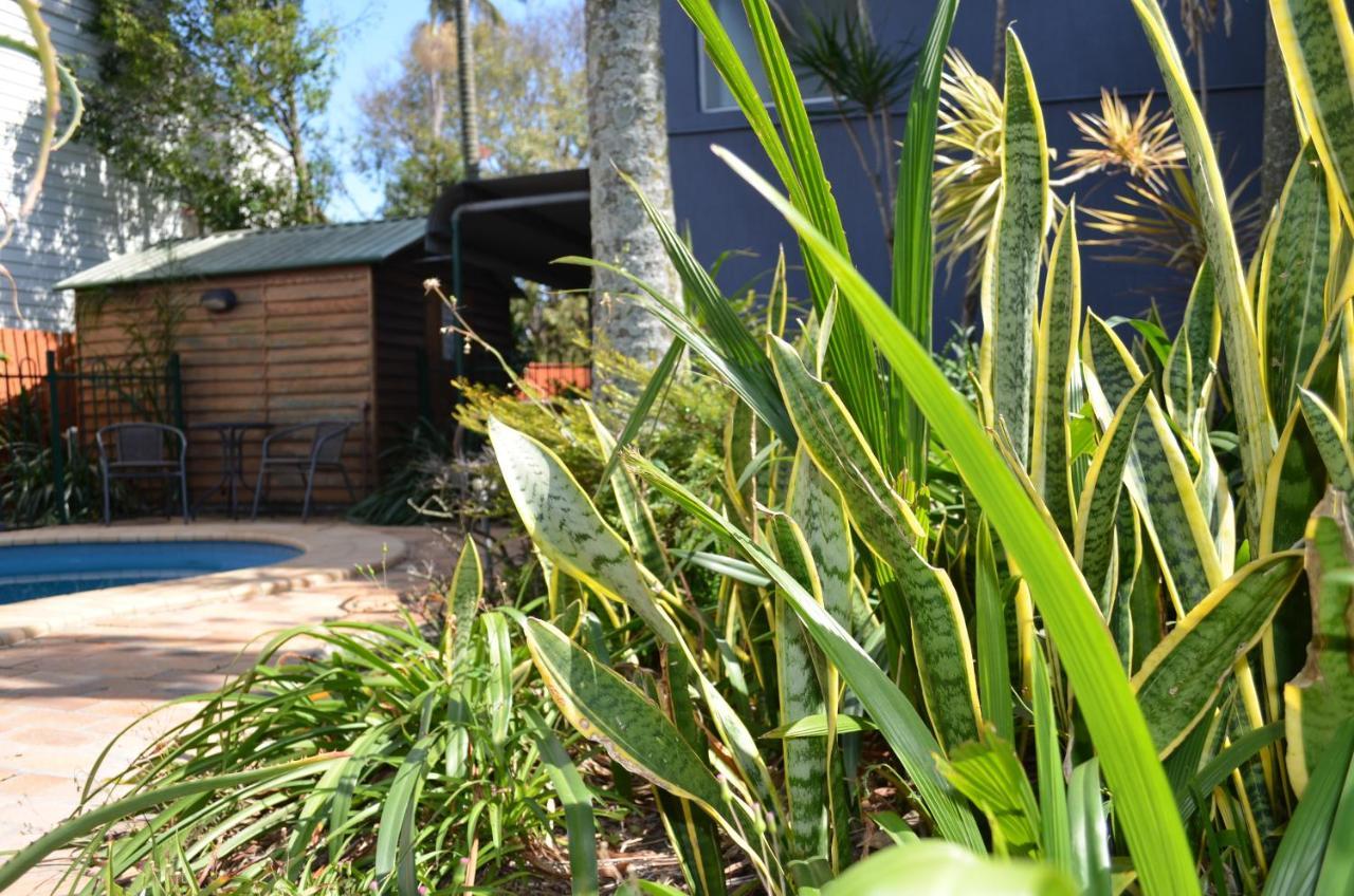 Airport Motel Brisbane Exterior photo
